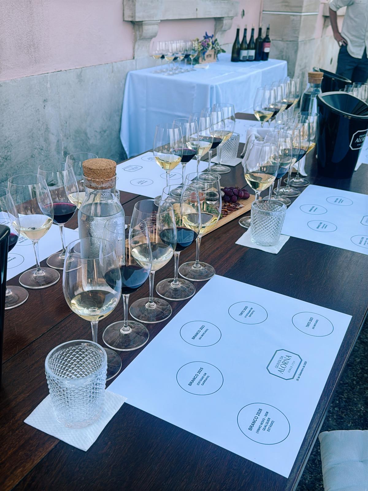 Mesa de prova com copos de vinho branco e tinto alinhados sobre folhas com os nomes dos vinhos
