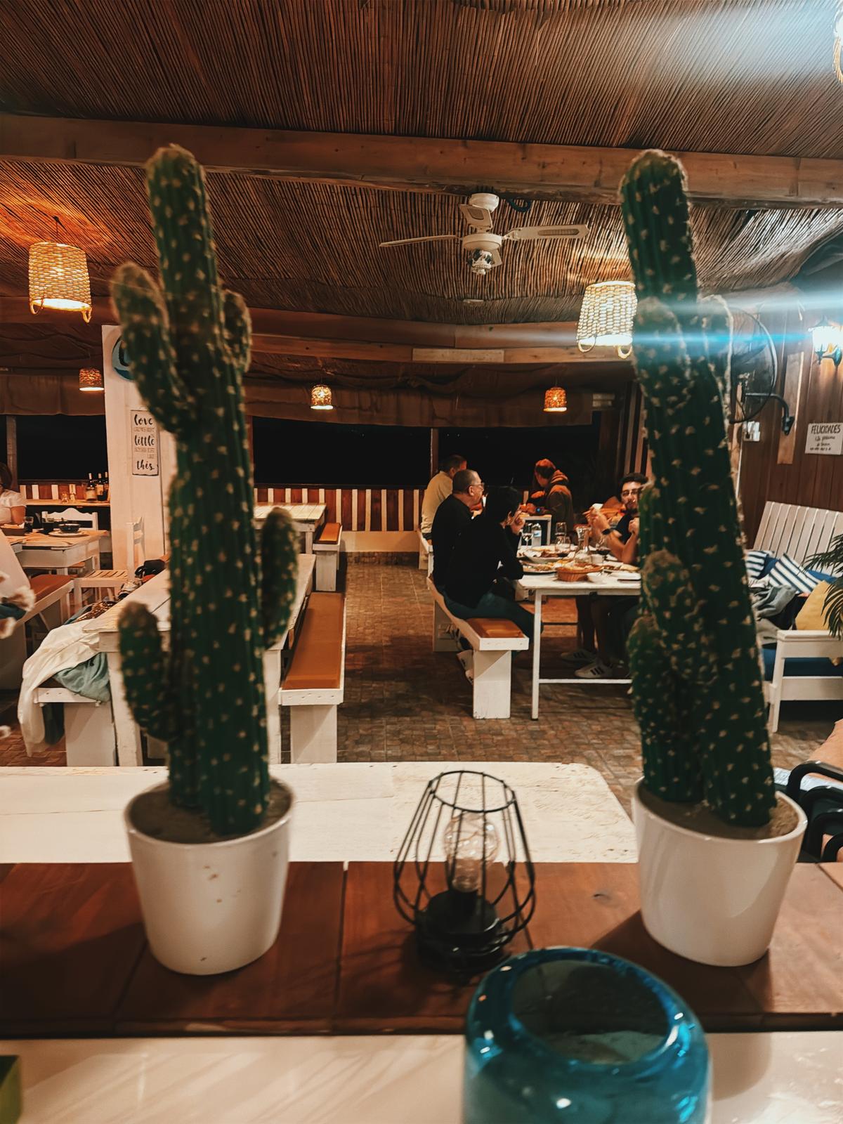 Sala de restaurante &agrave; noite, vista por entre dois cactos em vasos, com um grupo &agrave; mesa ao fundo