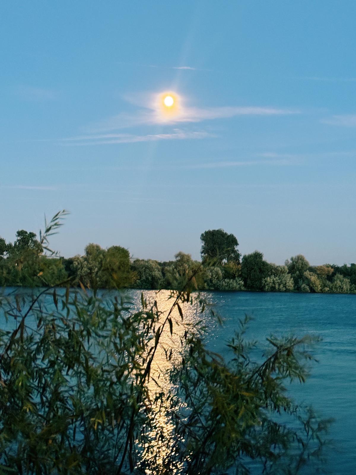 Lua sobre o Tejo, com o reflexo a desenhar um caminho de luz na &aacute;gua, entre ramos de salgueiro