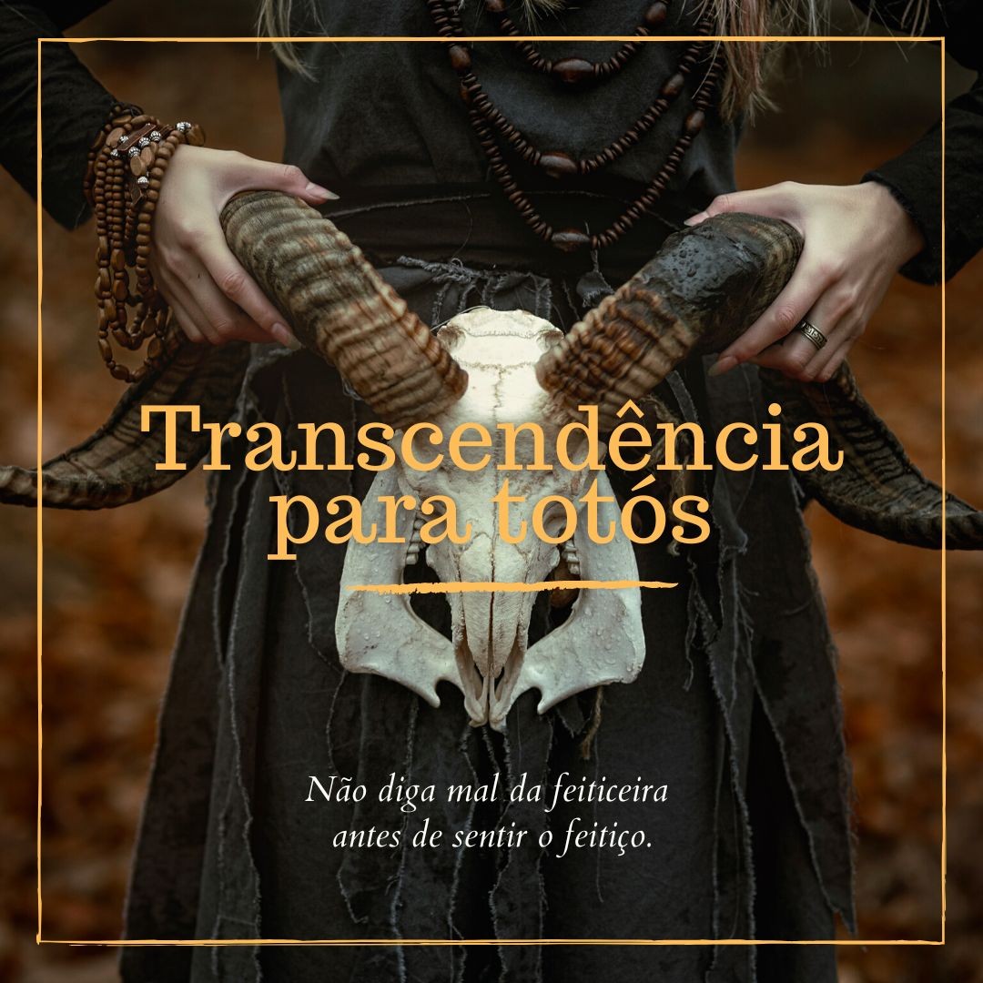 Cartaz original de Transcendência para Totós