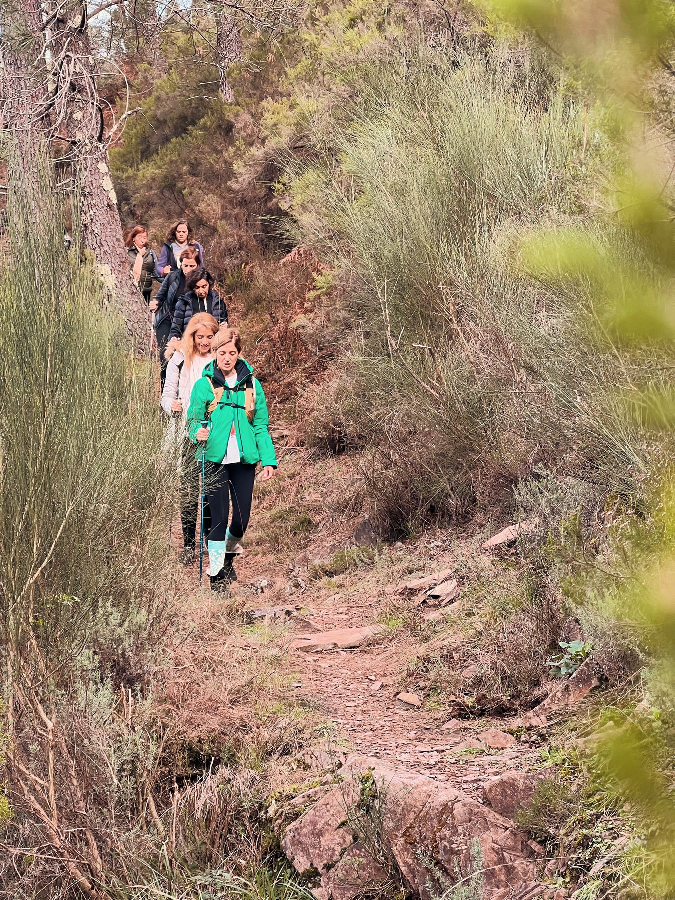 Grupo do Trilho dos Famintos a caminhar por um trilho na natureza